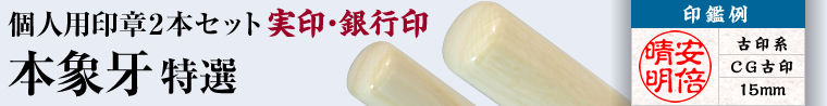 本象牙 特選