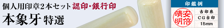 本象牙 特選